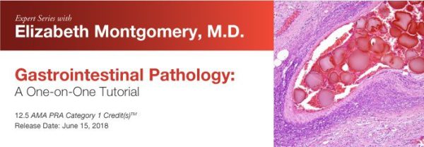 DocmedED 2018 Expert Series with Elizabeth Montgomery, M.D. Gastrointestinal Pathology A One-On-One Tutorial