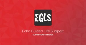 ECHO-Guided Life Support Using ultrasound to categorise shock and guide initial management (CME VIDEOS)