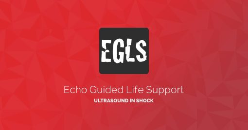 ECHO-Guided Life Support Using ultrasound to categorise shock and guide initial management (CME VIDEOS)