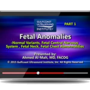 Gulfcoast Fetal Anomalies