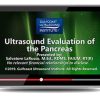 Gulfcoast: Ultrasound Evaluation of the Pancreas