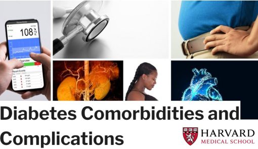 Harvard Diabetes Comorbidities and Complications 2023