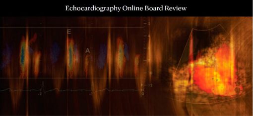 Mayo Clinic Echocardiography Online Board Review 2022