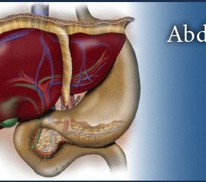 Pegasus Lectures Complete Abdomen Review eCourse