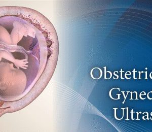 Pegasus Lectures Complete OB/GYN Review Ultrasound Video Course