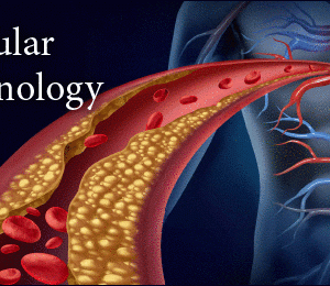 Pegasus Vascular Technology Review 2022