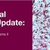 Surgical Pathology Update: Diagnostic Pearls for the Practicing Pathologist 2018