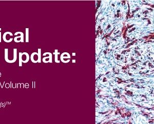 Surgical Pathology Update: Diagnostic Pearls for the Practicing Pathologist 2018