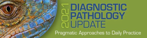 USCAP 2021 Diagnostic Pathology Update: Pragmatic Approaches to Daily Practice (CME VIDEOS)