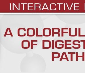 USCAP A Colorful Cornucopia of Digestive Tract Pathology 2022 (CME VIDEOS)