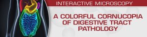 USCAP A Colorful Cornucopia of Digestive Tract Pathology 2022 (CME VIDEOS)