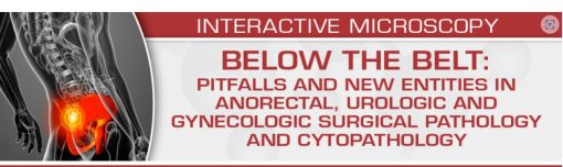 USCAP BELOW THE BELT: Pitfalls and New Entities in Anorectal, Urologic and Gynecologic Surgical Pathology and Cytopathology 2023 (CME VIDEOS)