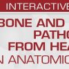 USCAP Bone and Soft Tissue Pathology from Head to Toe: An Anatomical Approach 2022 (CME VIDEOS)