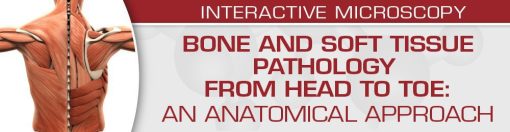 USCAP Bone and Soft Tissue Pathology from Head to Toe: An Anatomical Approach 2022 (CME VIDEOS)