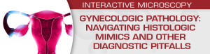 USCAP Gynecologic Pathology: Navigating Histologic Mimics and Other Diagnostic Pitfalls 2021 (CME VIDEOS)