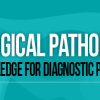USCAP Gynecological Pathology: Essential Knowledge for Diagnostic Practice 2022 (CME VIDEOS)
