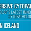 USCAP Immersive Cytopathology Experience ICE in Iceland 2019 (CME VIDEOS)