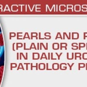 USCAP Pearls and Pitfalls (Plain or Splashy) in Daily Urologic Pathology Practice 2023