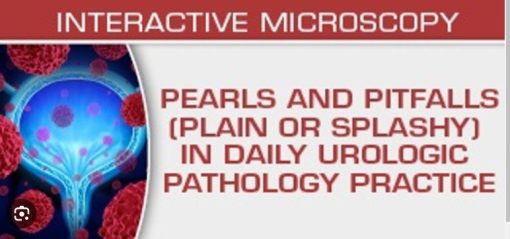 USCAP Pearls and Pitfalls (Plain or Splashy) in Daily Urologic Pathology Practice 2023