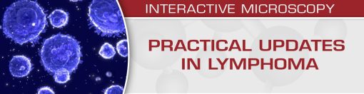 USCAP Practical Updates in Lymphoma 2018 (CME VIDEOS)