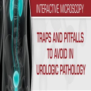 USCAP Traps And Pitfalls To Avoid In Urologic Pathology 2019 (CME VIDEOS)