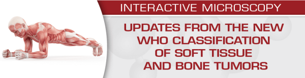 USCAP Updates from the New WHO Classification of Soft Tissue and Bone Tumors 2020 (CME VIDEOS)