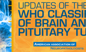 USCAP Updates of the WHO Classification of Brain and Pituitary Tumors 2019