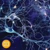Neurology for Non-Neurologists 2022 ( VIDEOS)