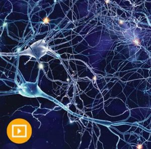 Neurology for Non-Neurologists 2022 ( VIDEOS)