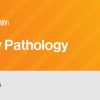 Classic Lectures in Pathology: What You Need to Know: Genitourinary 2022