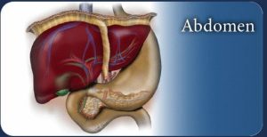 Pegasus Lectures Complete Abdomen Review eCourse