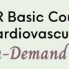 SPR 2021 18th Basic Course on Pediatric Cardiovascular MRI On-Demand (CME VIDEOS)