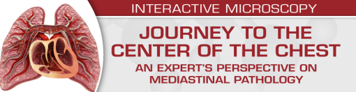 USCAP Journey to the Center of the Chest: An expert’s perspective on mediastinal pathology 2023