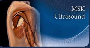 Pegasus Complete MSK Ultrasound eCourse pack 2022