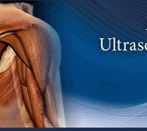 Pegasus Complete MSK Ultrasound eCourse pack 2022