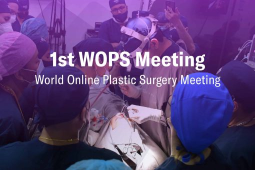 South American Plastic Surgery 1st WOPS Meeting (World Online Plastic Surgery Meeting) 2020