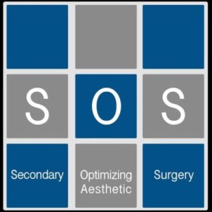 International Society of Aesthetic Plastic Surgery- SOS (Advances in Breast Surgery )