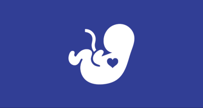 AIUM Basic Fetal Echo: What to do When You Detect Congenital Heart Defect