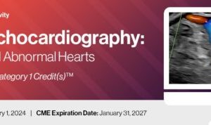 2024 Fetal Echocardiography: Normal and Abnormal Hearts – A Video CME Teaching Activity