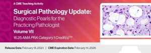 2023 Surgical Pathology Update: Diagnostic Pearls for the Practicing Pathologist: Vol. VII