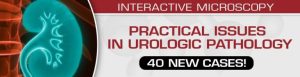 Practical Issues in Urologic Pathology – 40 New Cases! 2021 (CME VIDEOS)