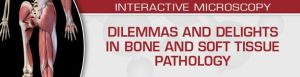 USCAP Dilemmas and Delights in Bone and Soft Tissue Pathology 2023 (CME VIDEOS)