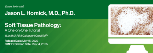 Expert Series with Jason L. Hornick, M.D., Ph.D.: Soft Tissue Pathology: A One-On-One Tutorial 2022 (CME VIDEOS)