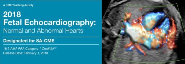 2018 Fetal Echocardiography: Normal and Abnormal Hearts (CME Videos)