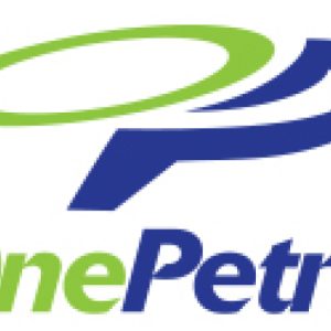 Onepetro direct account Account