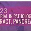 USCAP Tutorial In Pathology of the GI Tract, Pancreas, and Liver 2023