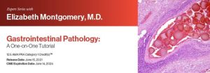 Expert Series with Elizabeth Montgomery, M.D.: Gastrointestinal Pathology: A One-On-One Tutorial 2021 (CME VIDEOS)