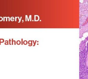 Expert Series with Elizabeth Montgomery, M.D.: Gastrointestinal Pathology: A One-On-One Tutorial 2021 (CME VIDEOS)