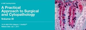 2017 A Practical Approach to Surgical and Cytopathology Vol. III (CME Videos)