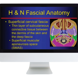 American Roentgen Ray Society The Suprahyoid Neck Pathology Through Anatomy 2023